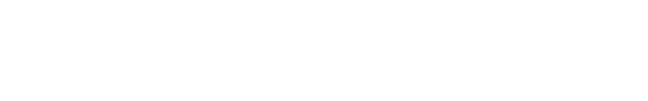 Developium